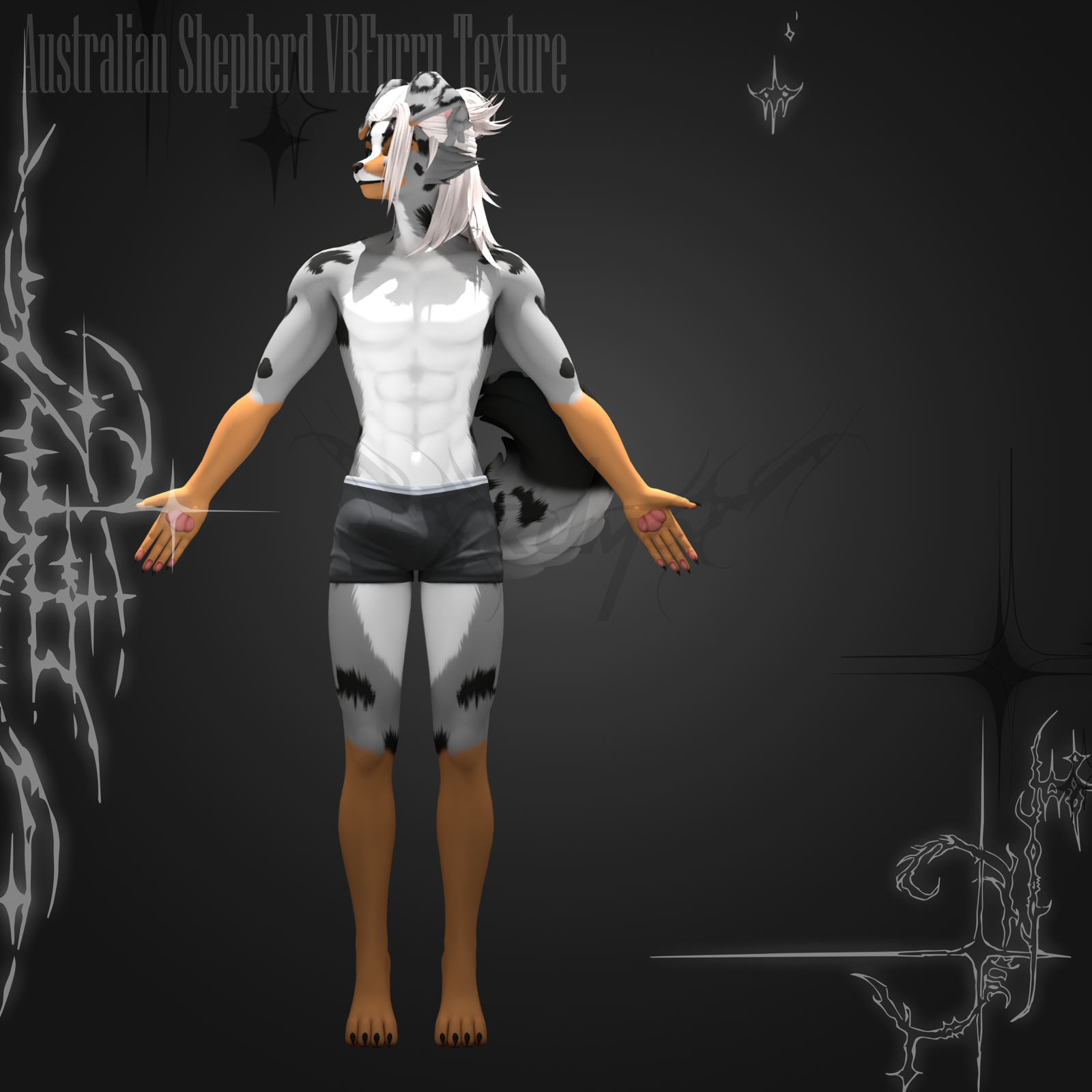 Australian Shepard VRFURRY Texture