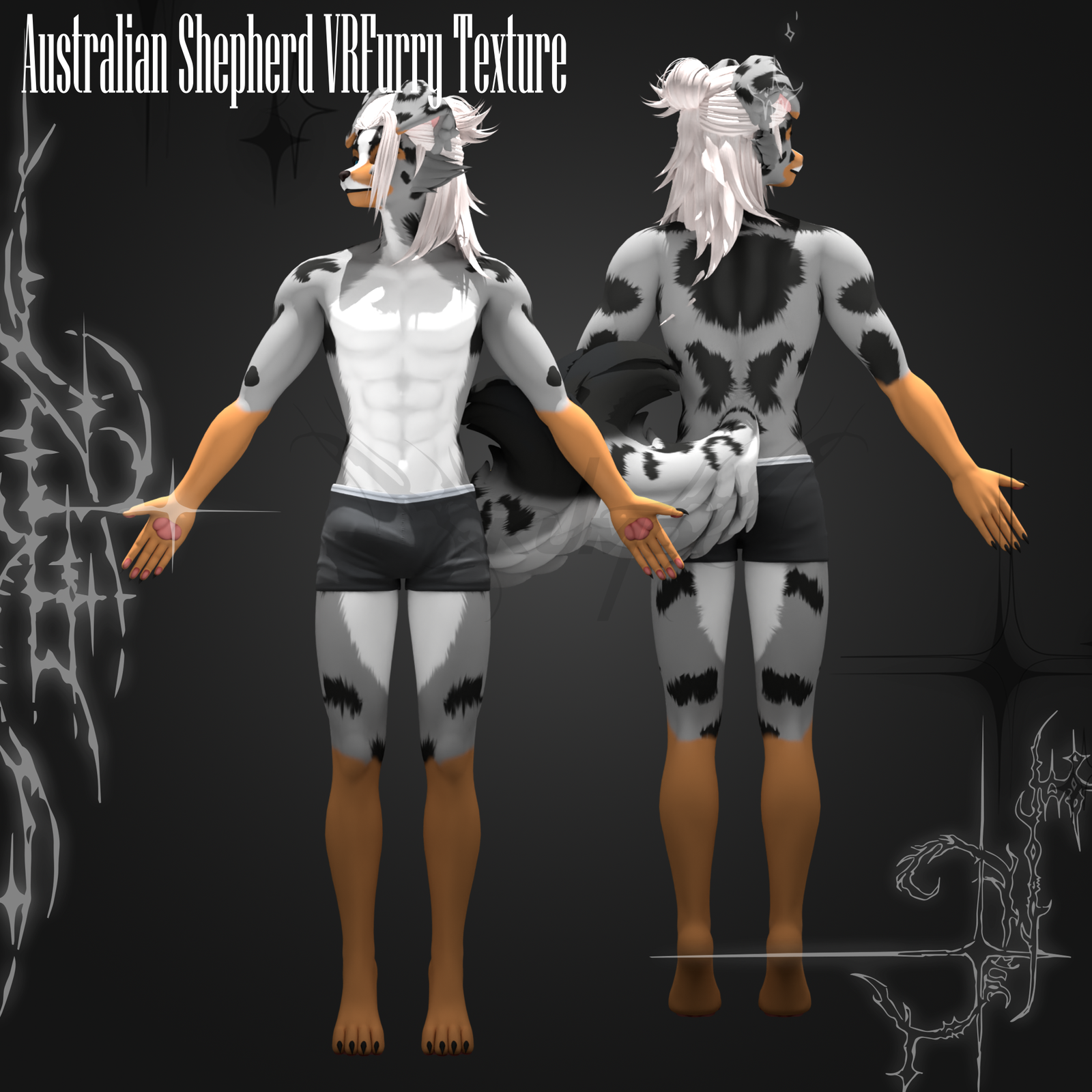 Australian Shepard VRFURRY Texture