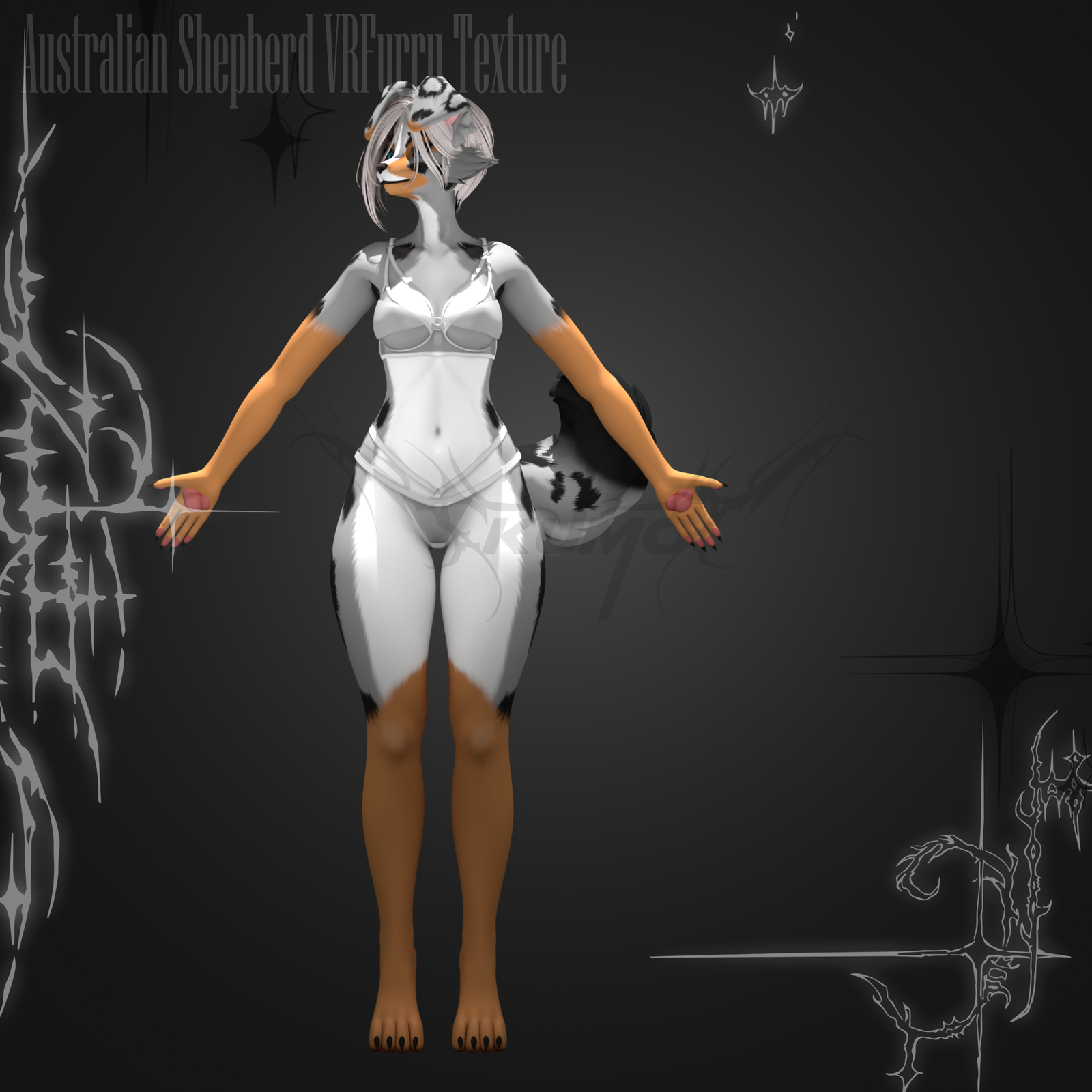 Australian Shepard VRFURRY Texture