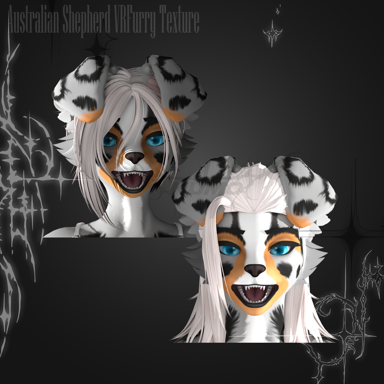 Australian Shepard VRFURRY Texture