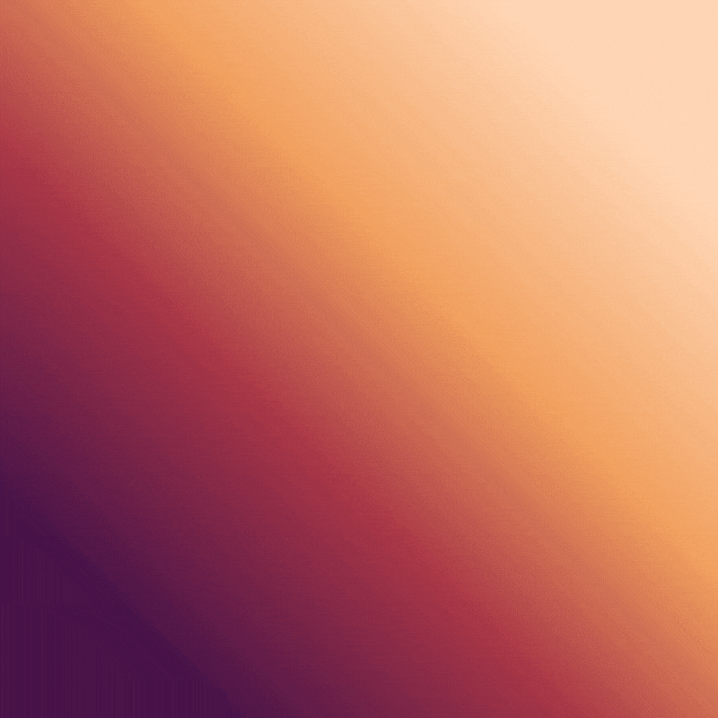 Nardoragon Piercings 