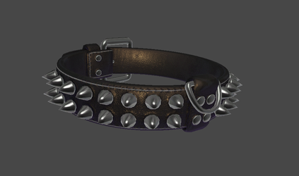 Studded Collar