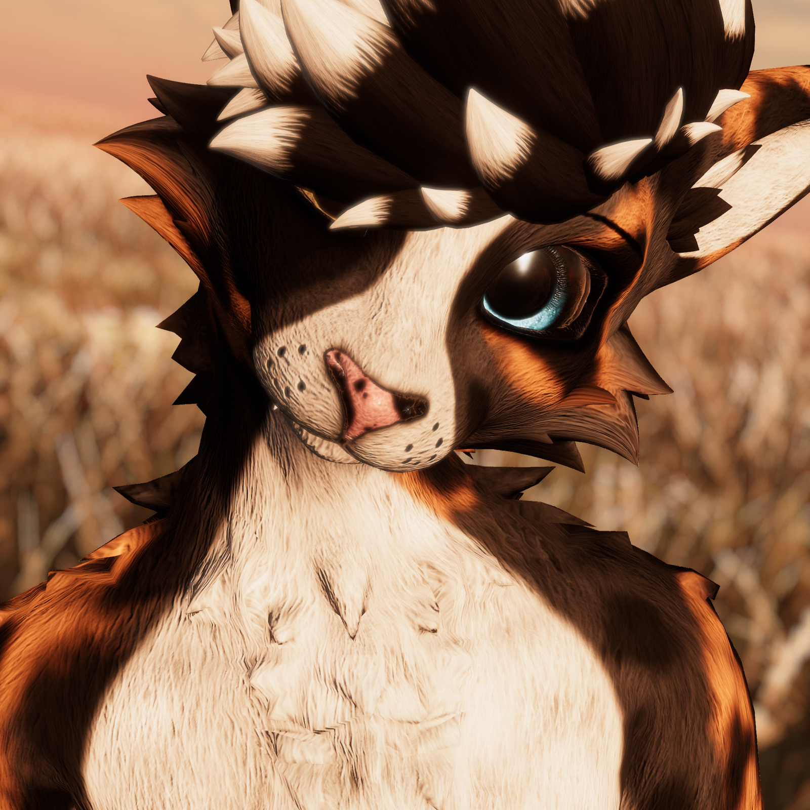 Aussie Shepherd - Rexouium Texture