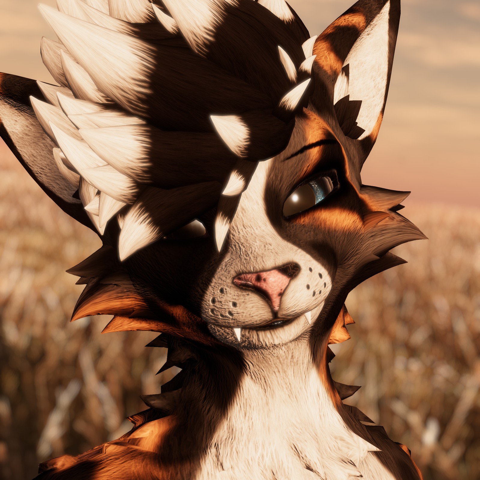 Aussie Shepherd - Rexouium Texture