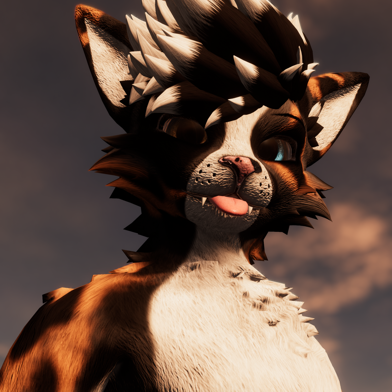 Aussie Shepherd - Rexouium Texture