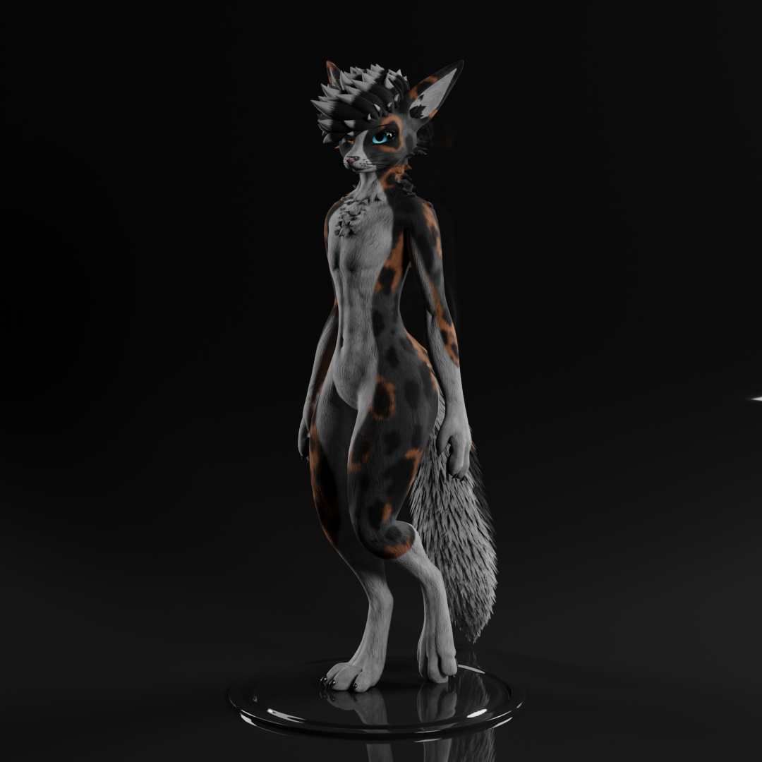 Aussie Shepherd - Rexouium Texture