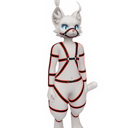 Mayu - Harness