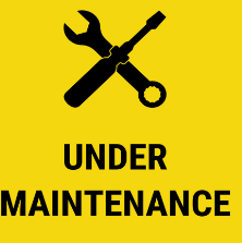 Alt Shark Bait TAKING PHOTOS <3