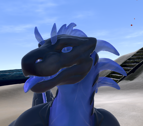 Dragoneel Avatar