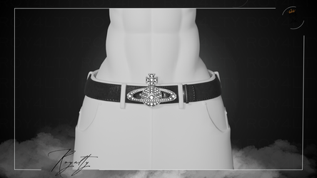 VW Belt