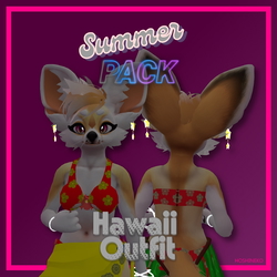 Summer Outfit Hawaii Tradi & Modern