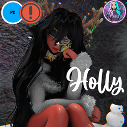 HOLLY PC FT