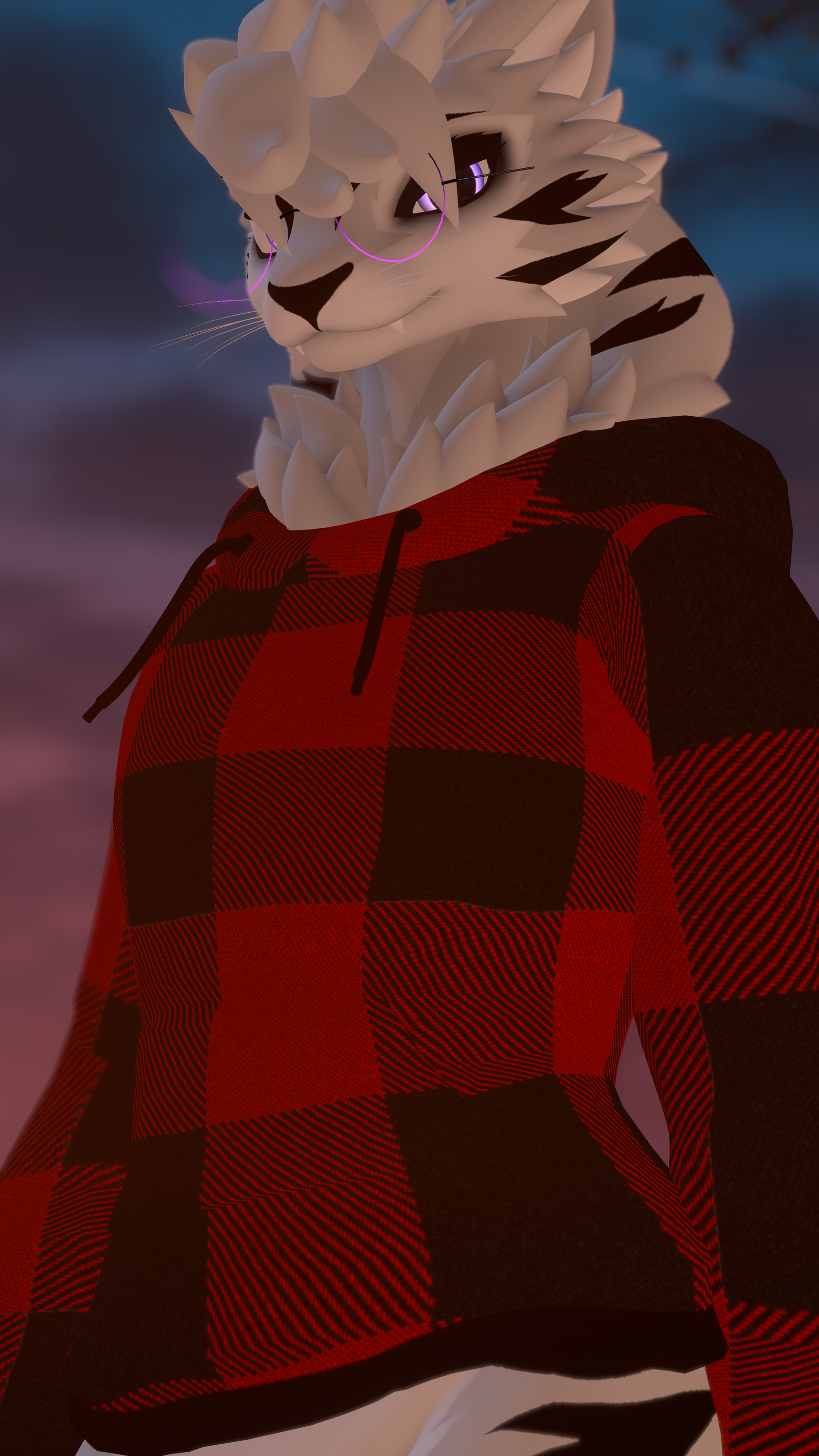 Comfy Hoodie for Northern Aspil