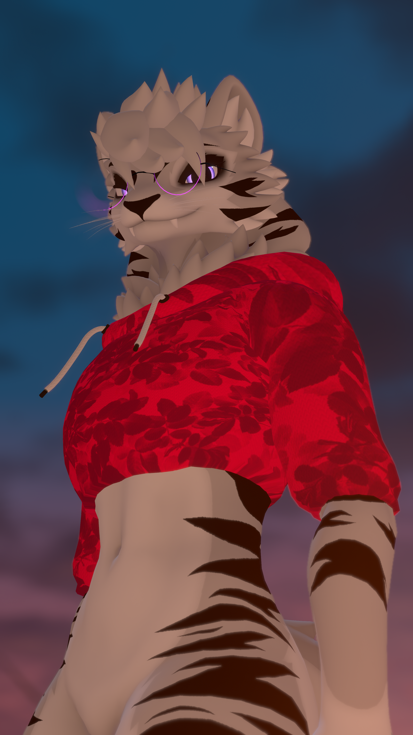 Comfy Hoodie for Northern Aspil