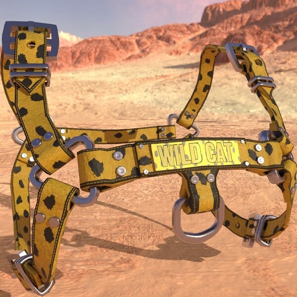 Ghostly Male WildCats - Bulldog Harness