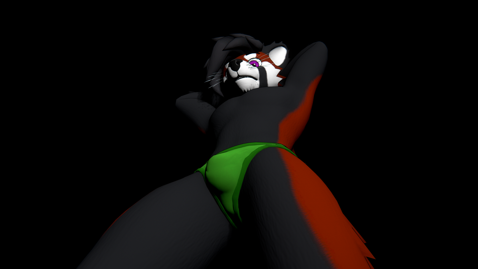 RazCanine - Briefs