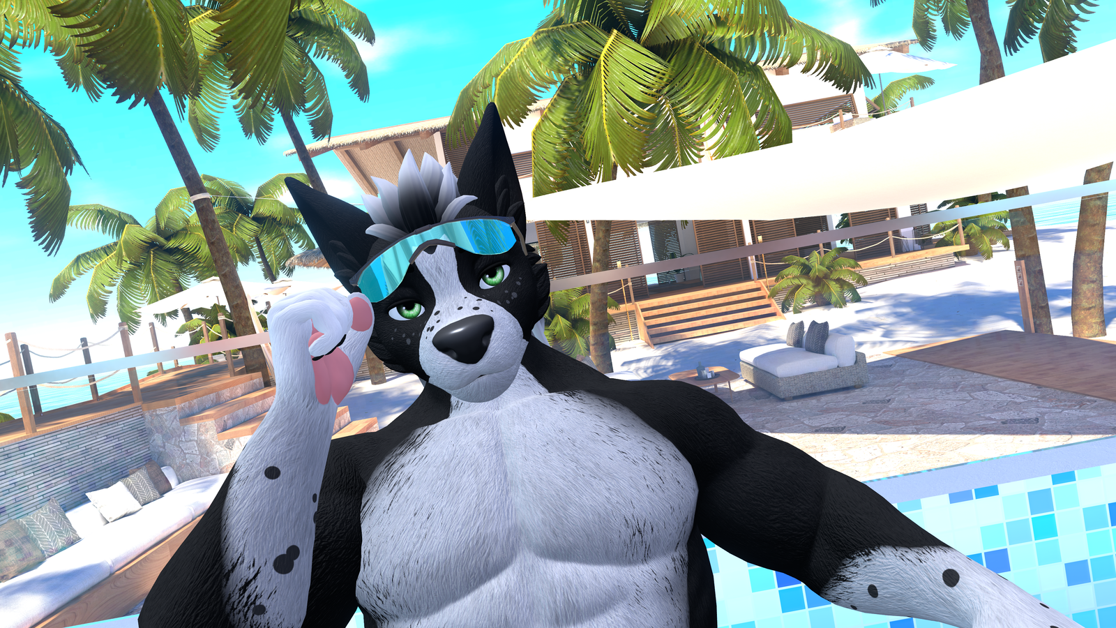 Male Winterpaw Canine - Glasses Collection