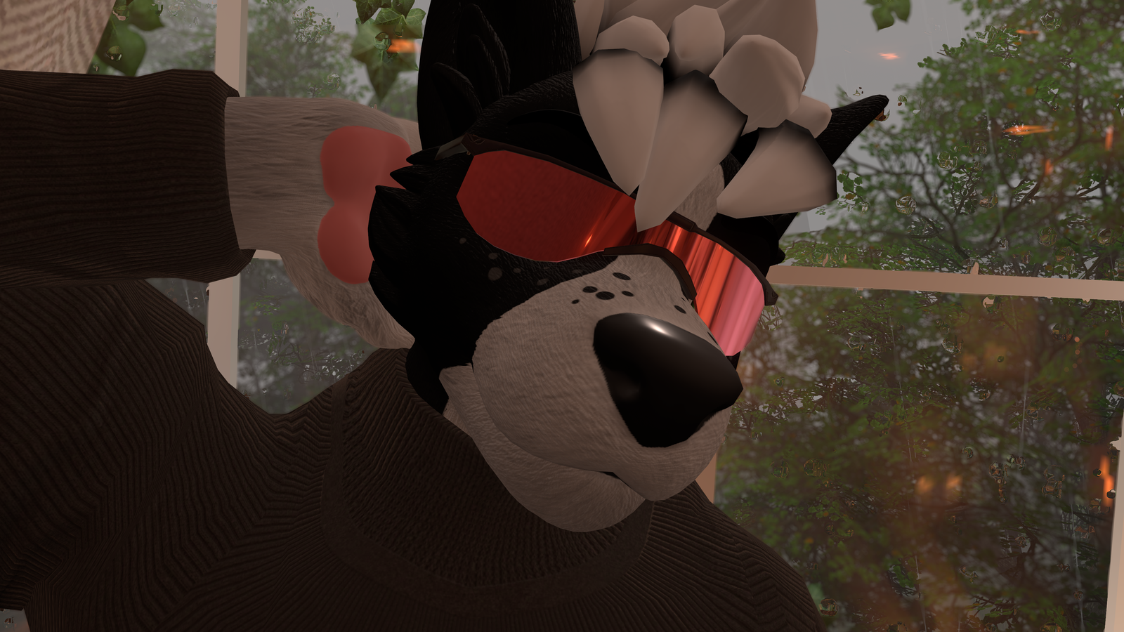 Male Winterpaw Canine - Glasses Collection