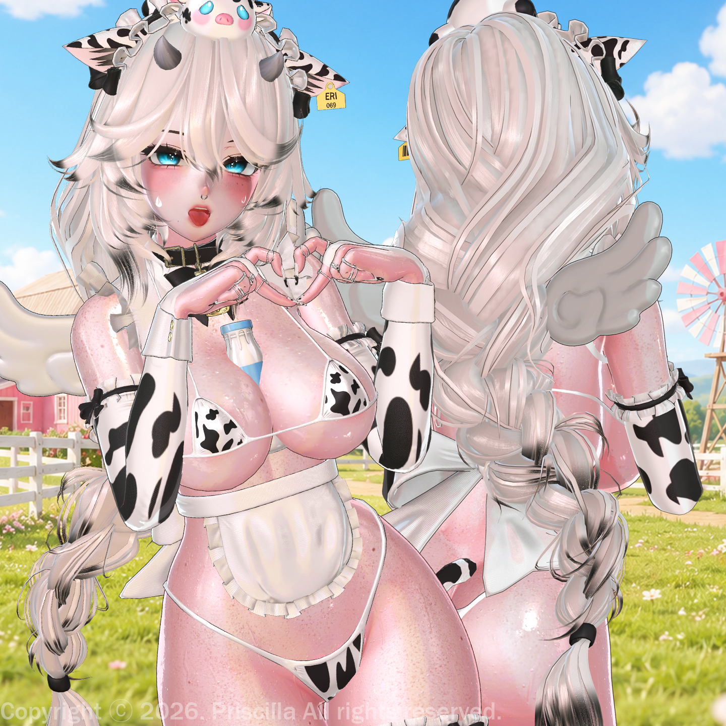 Eri ( pc & vrcft )