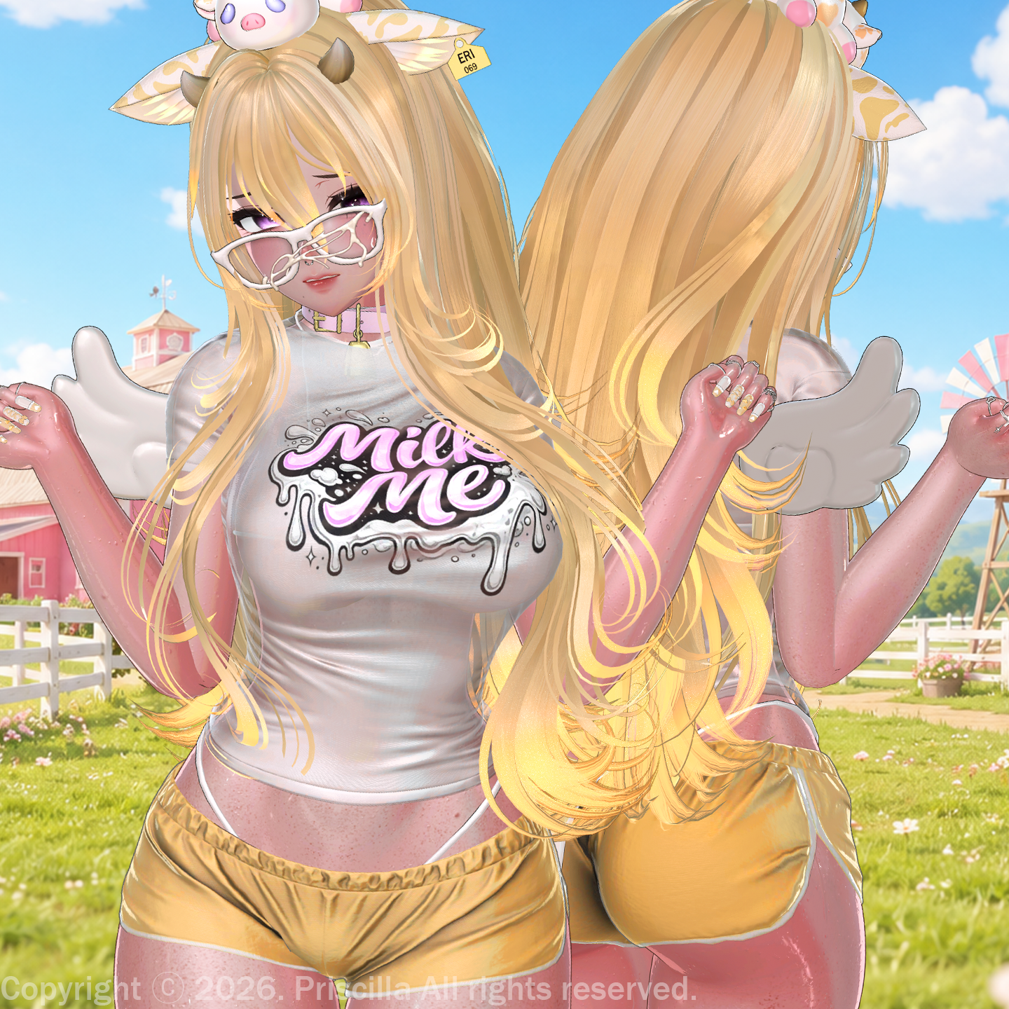 Eri ( pc & vrcft )