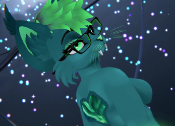 Northern Lights Kiggy