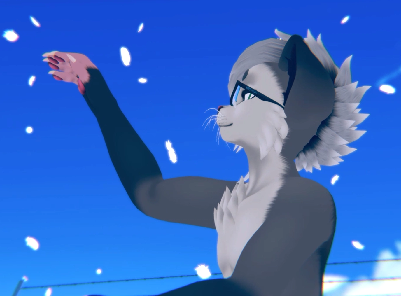 Opossum Kiggy texture