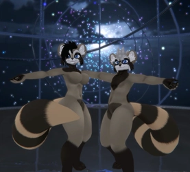 Raccoon Kiggy Textures