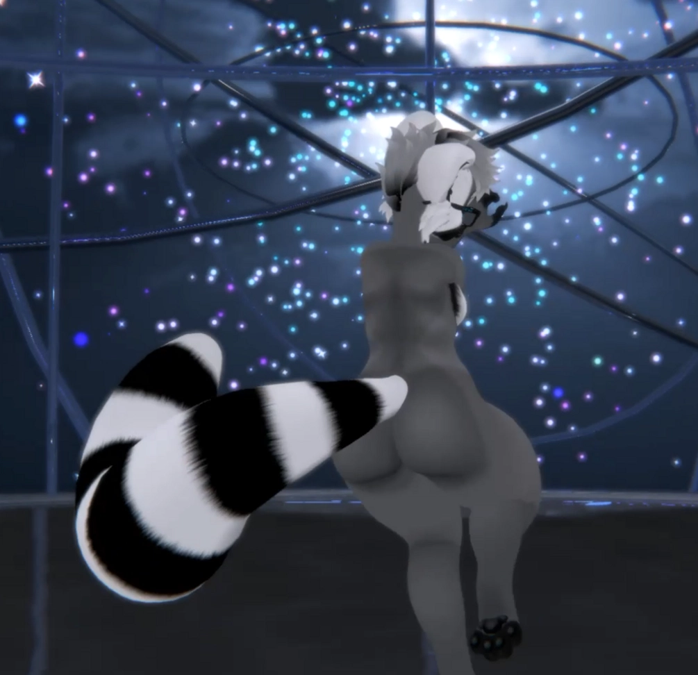 Ringtail Kiggy Texture