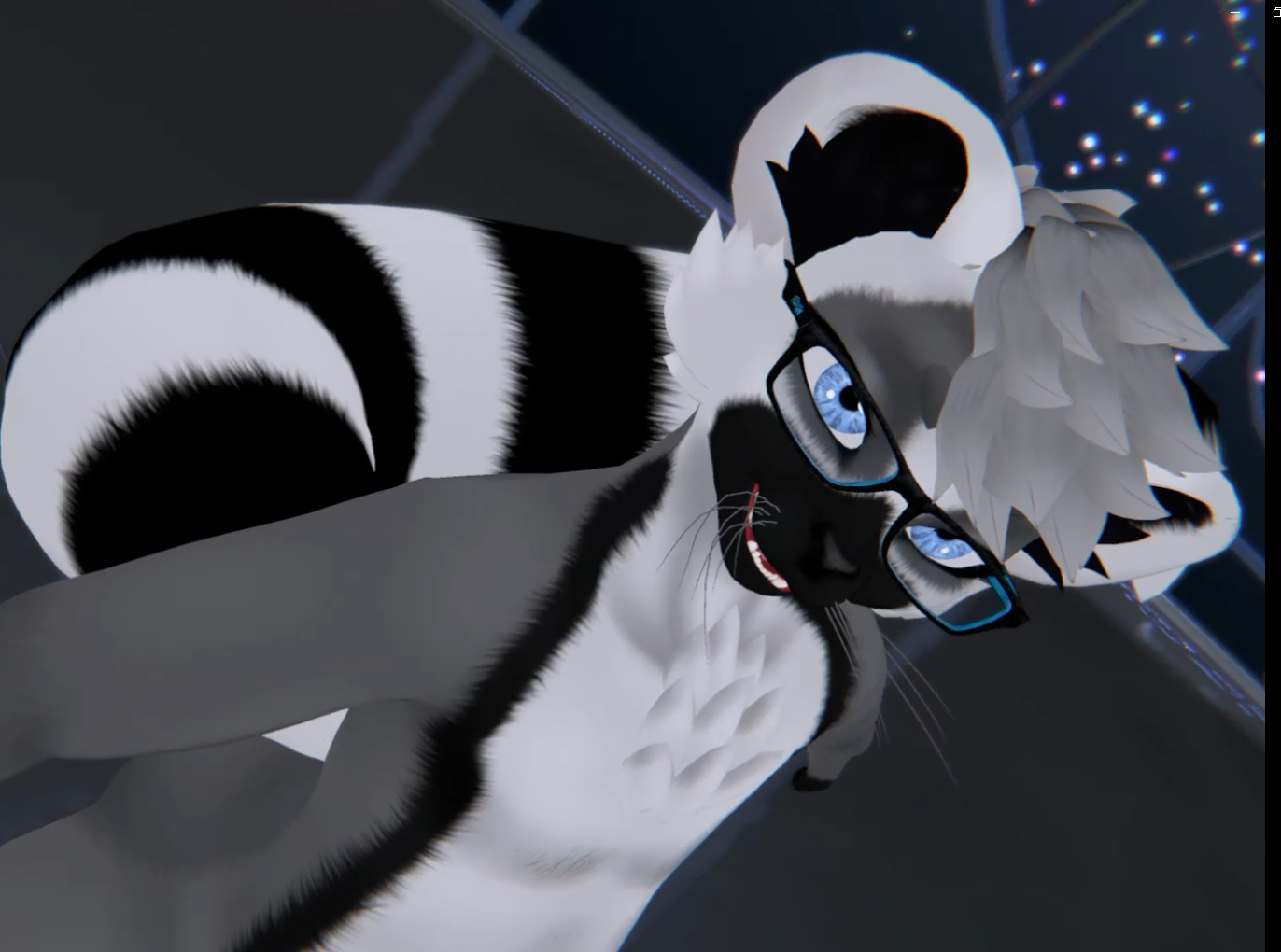 Ringtail Kiggy Texture