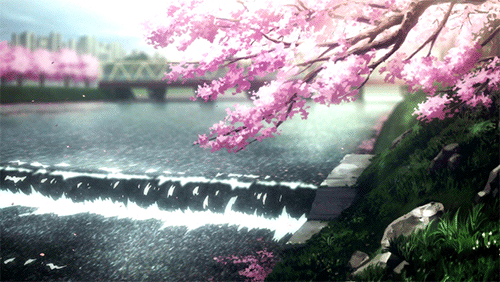 Banner Background