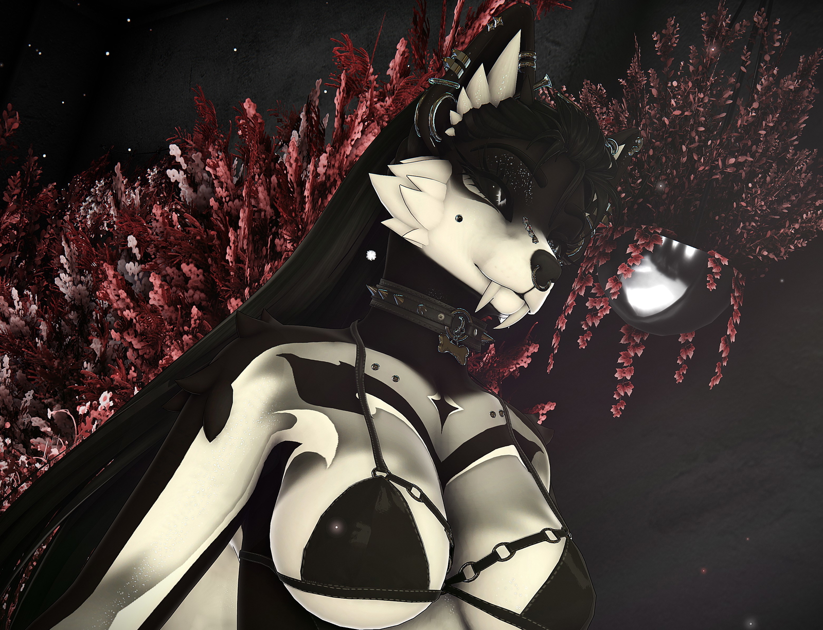 ˖⁺. Void .⁺˖ Roxy Texture