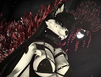 ˖⁺. Void .⁺˖ Roxy Texture