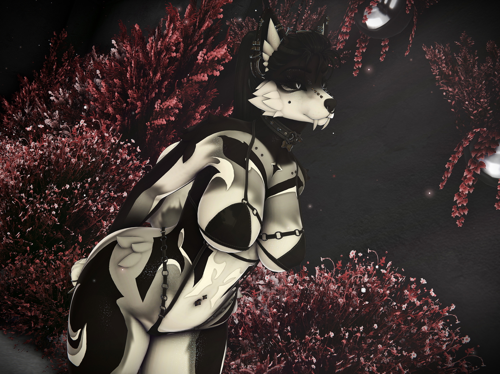 ˖⁺. Void .⁺˖ Roxy Texture