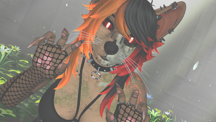 Undead Tazzy