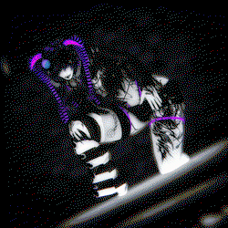 ☾︎𝑵𝑶𝑽𝑨☽︎ (PC+Q/SFW/GOGO)