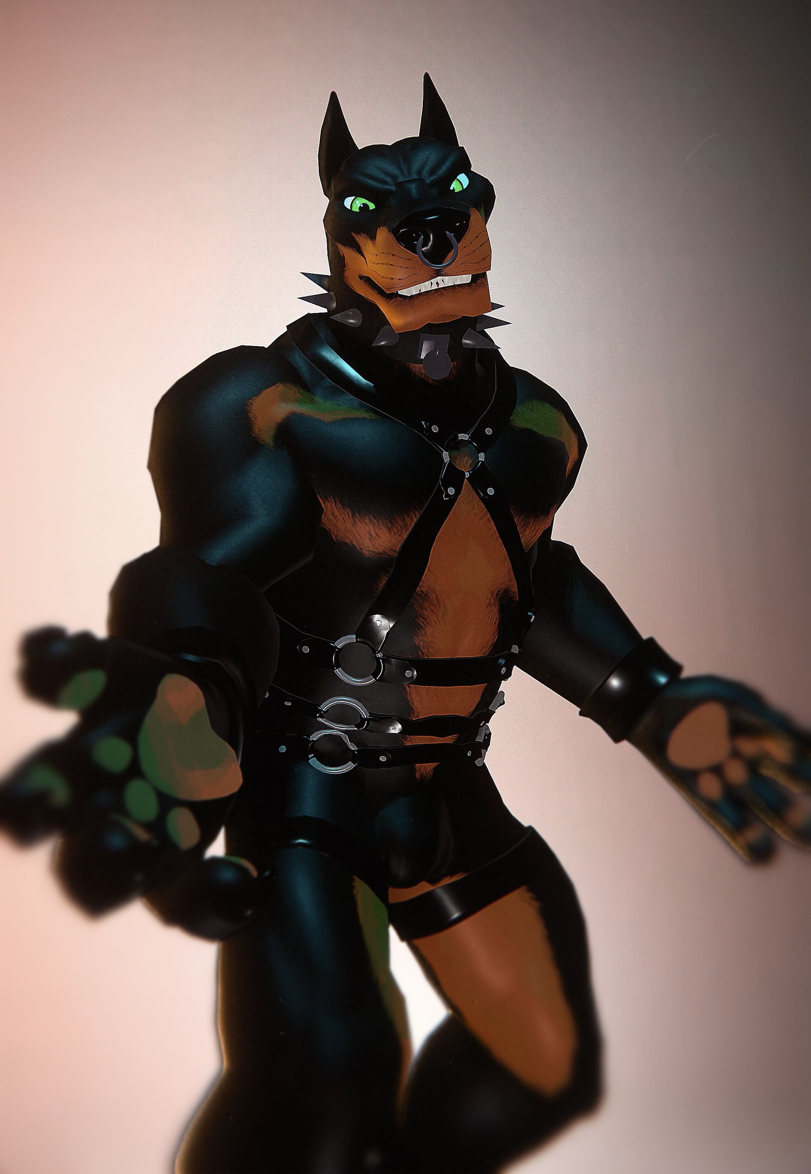 13 HARNESS