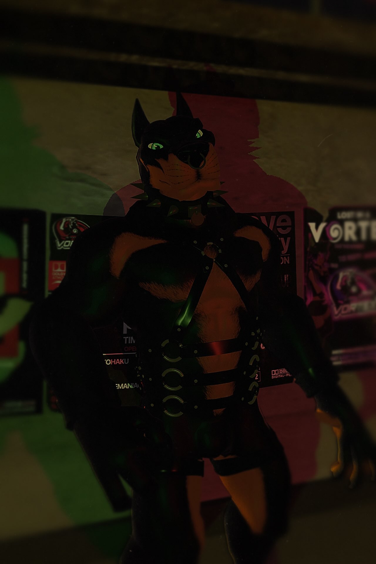 13 HARNESS