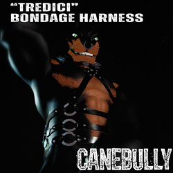 13 HARNESS
