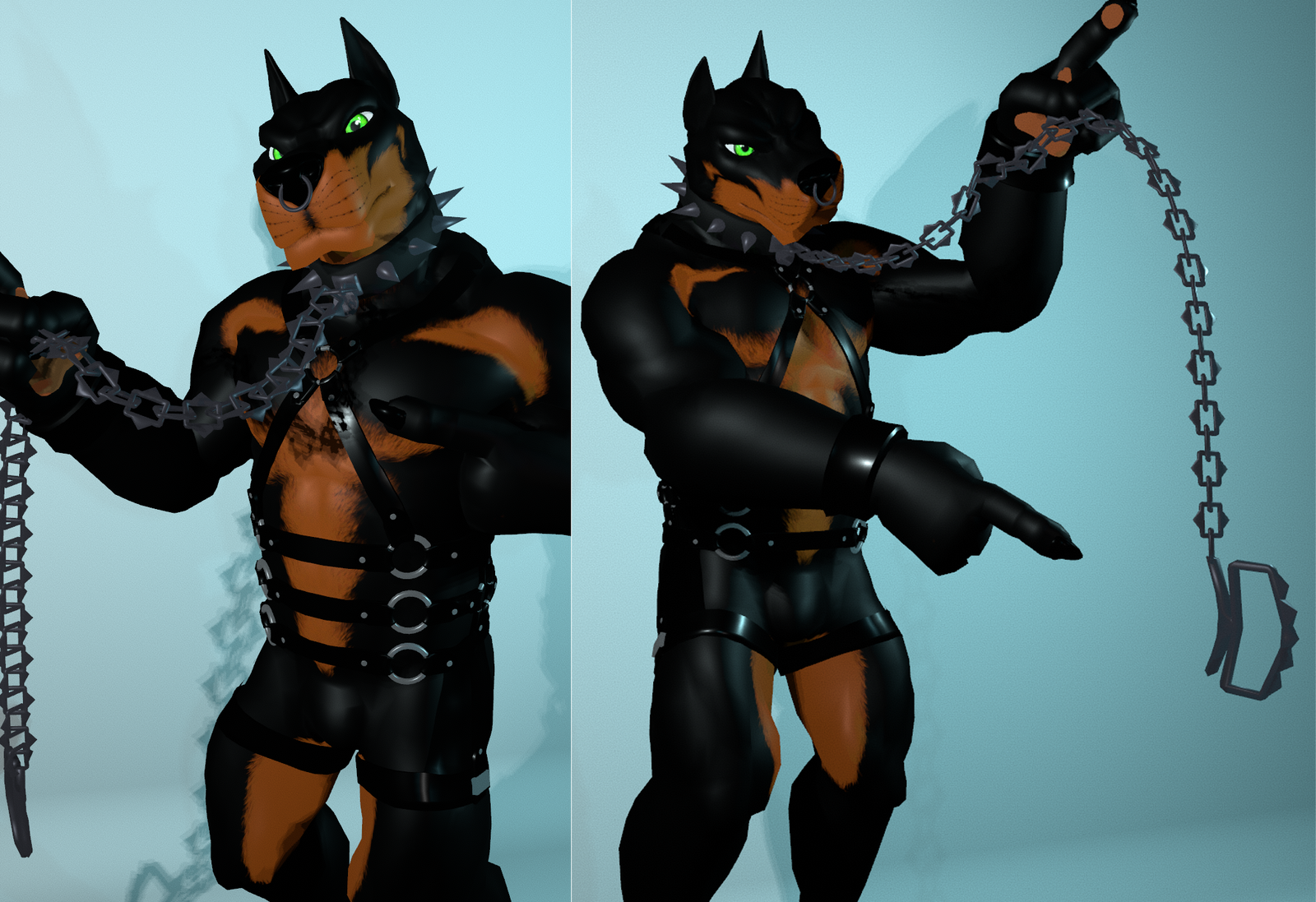 Spike chain and Leash