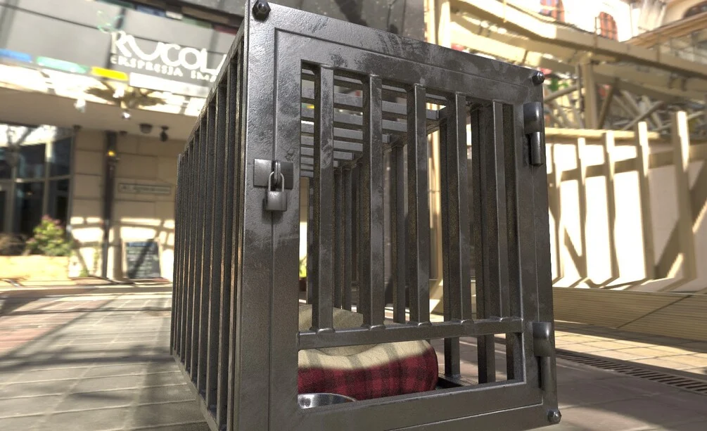 Puppy cage