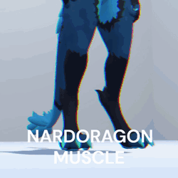 Nardoragon Muscle Textures