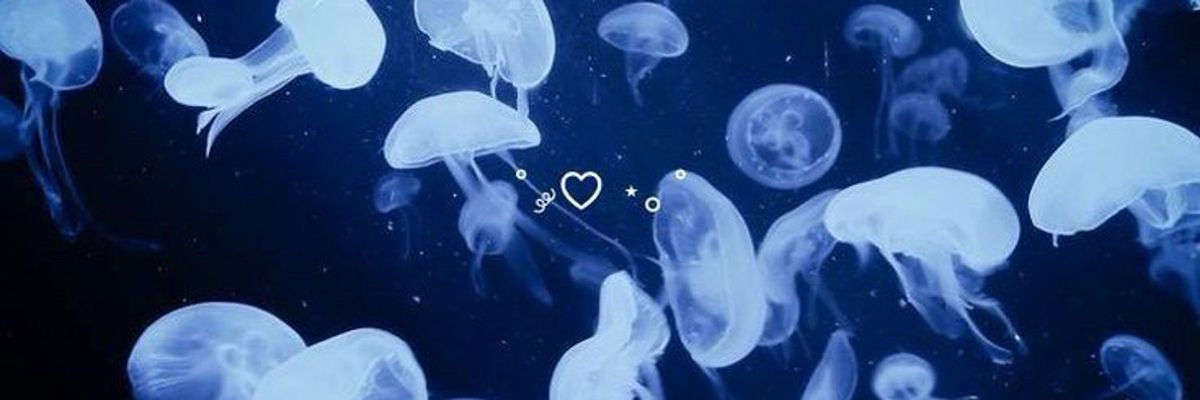 Banner Background