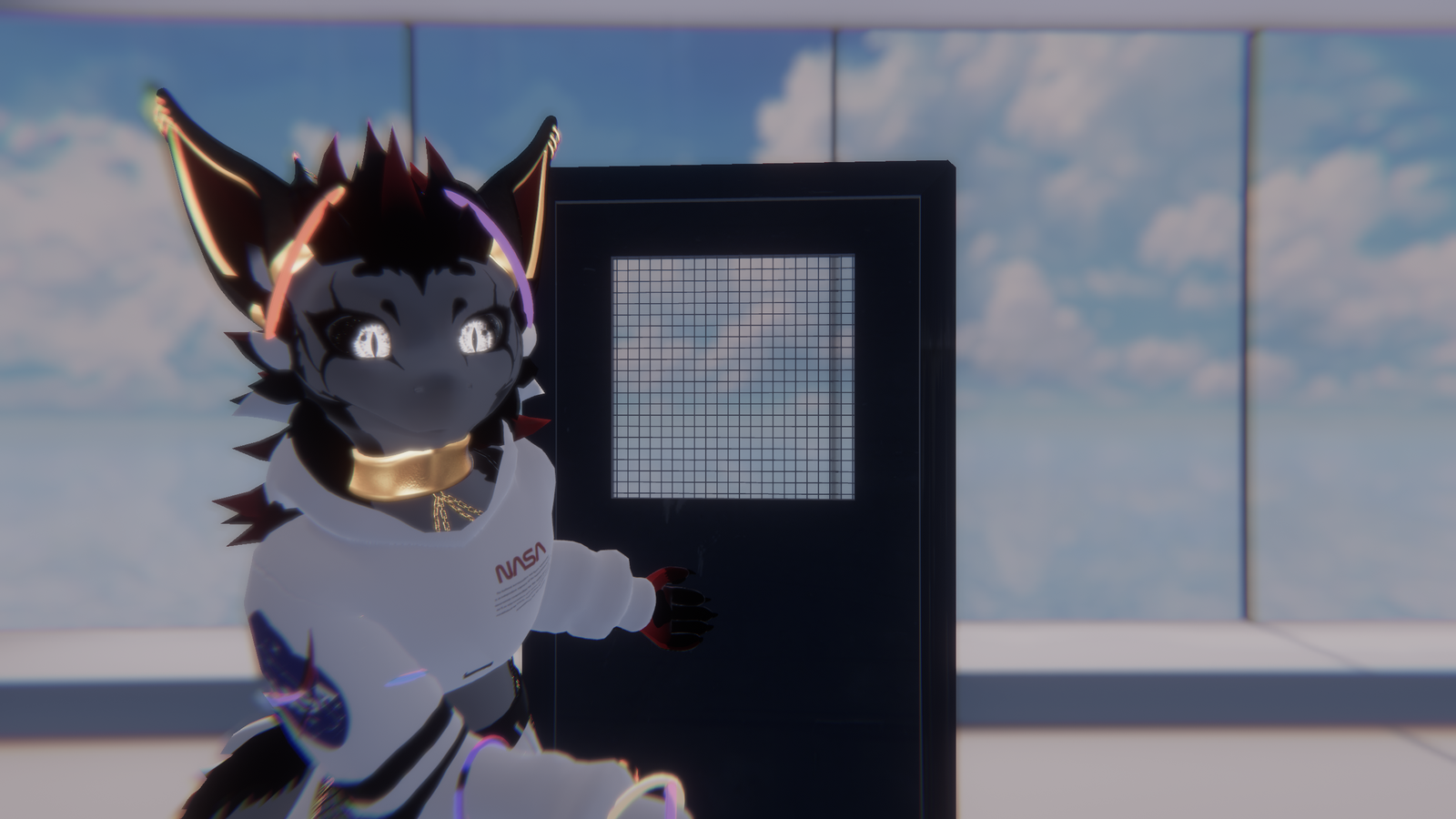 Door
