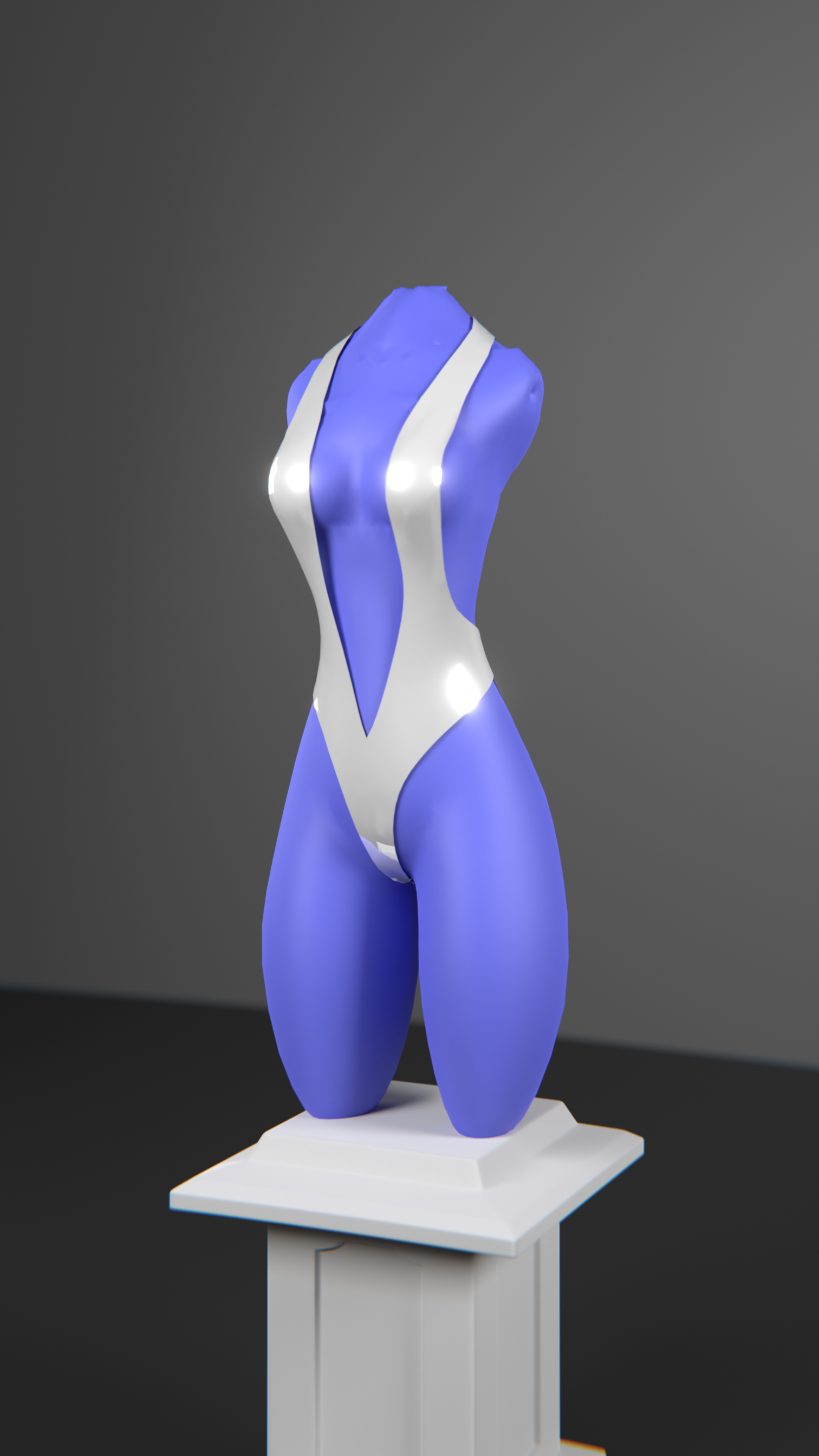 Bodysuit For Magpie v6