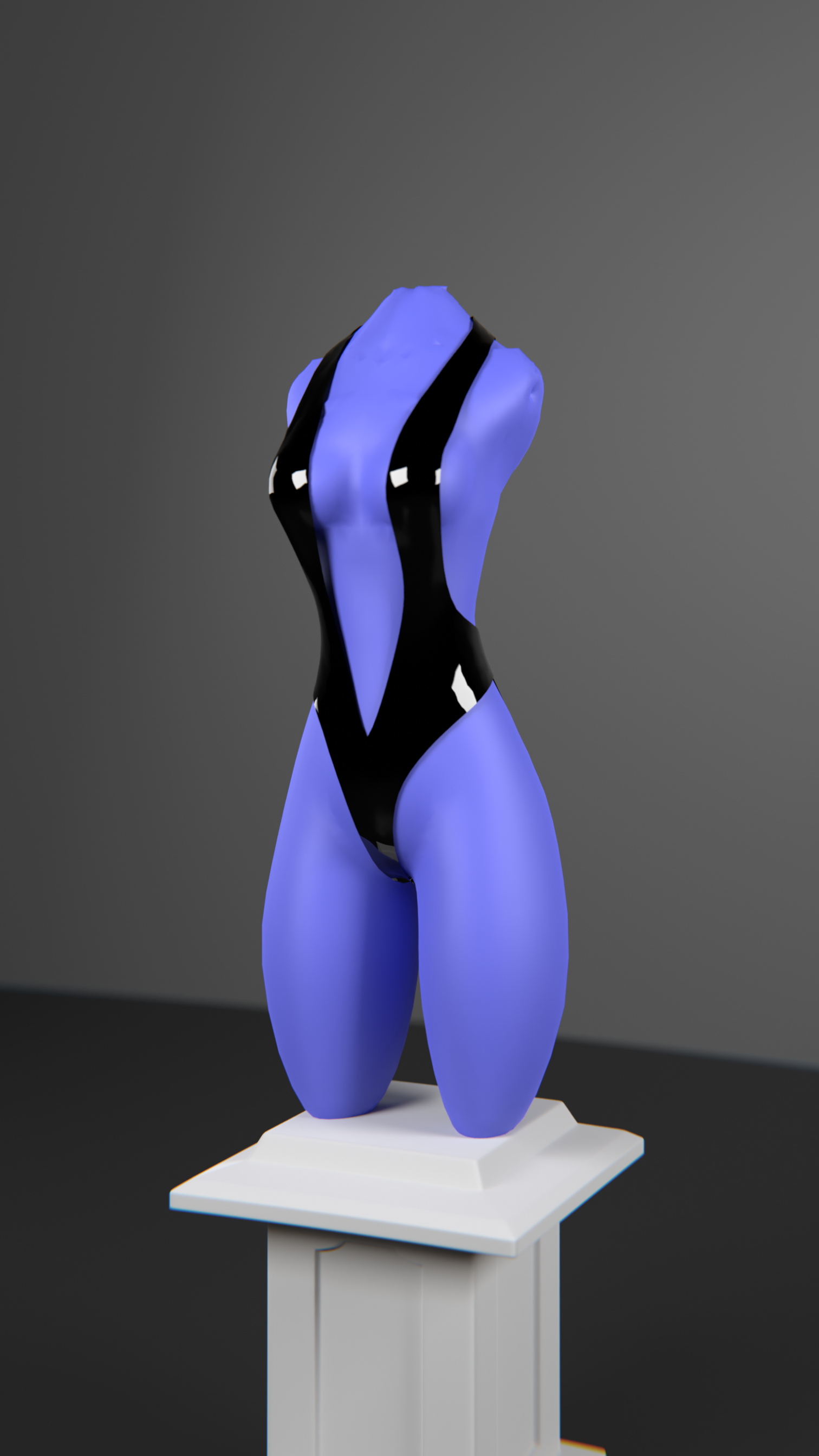 Bodysuit For Magpie v6