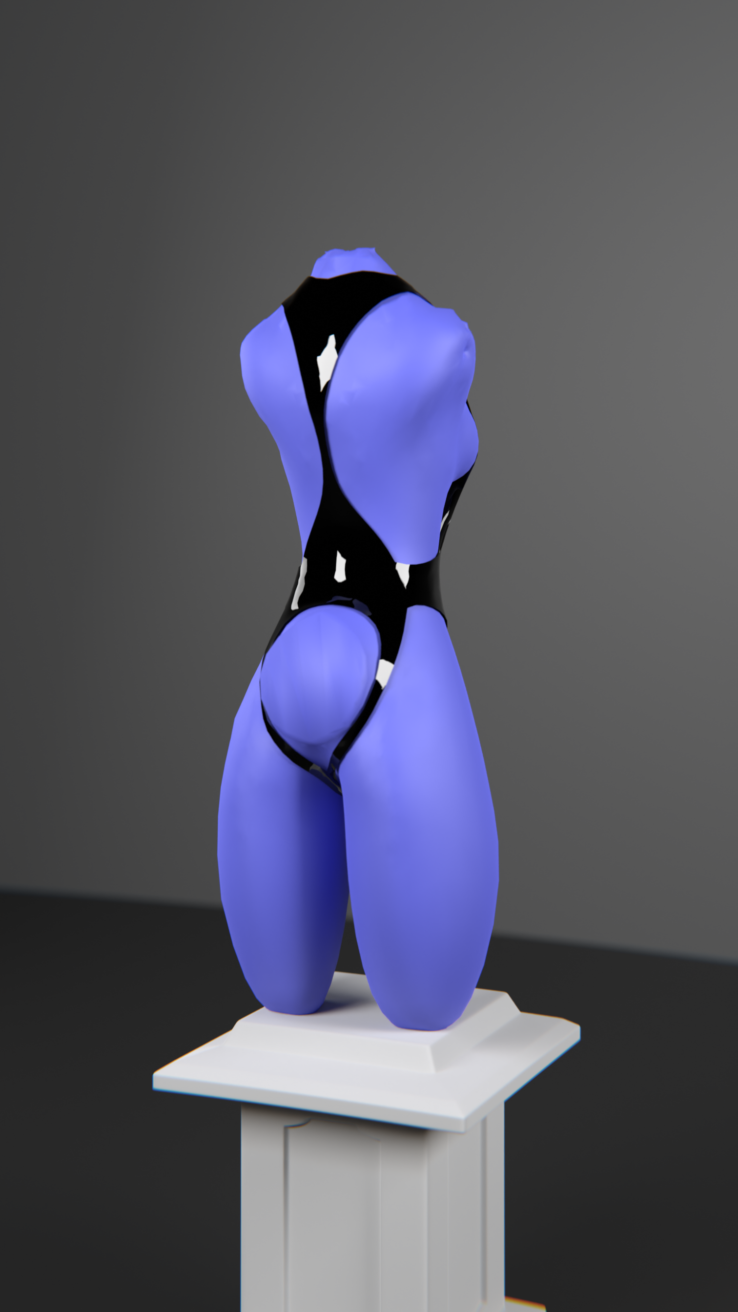 Bodysuit For Magpie v6