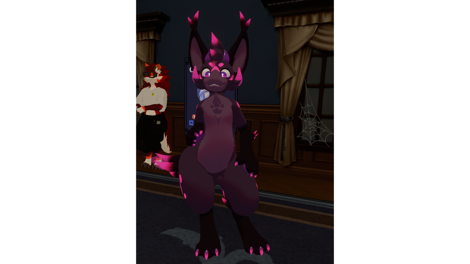 Lumistera Paws