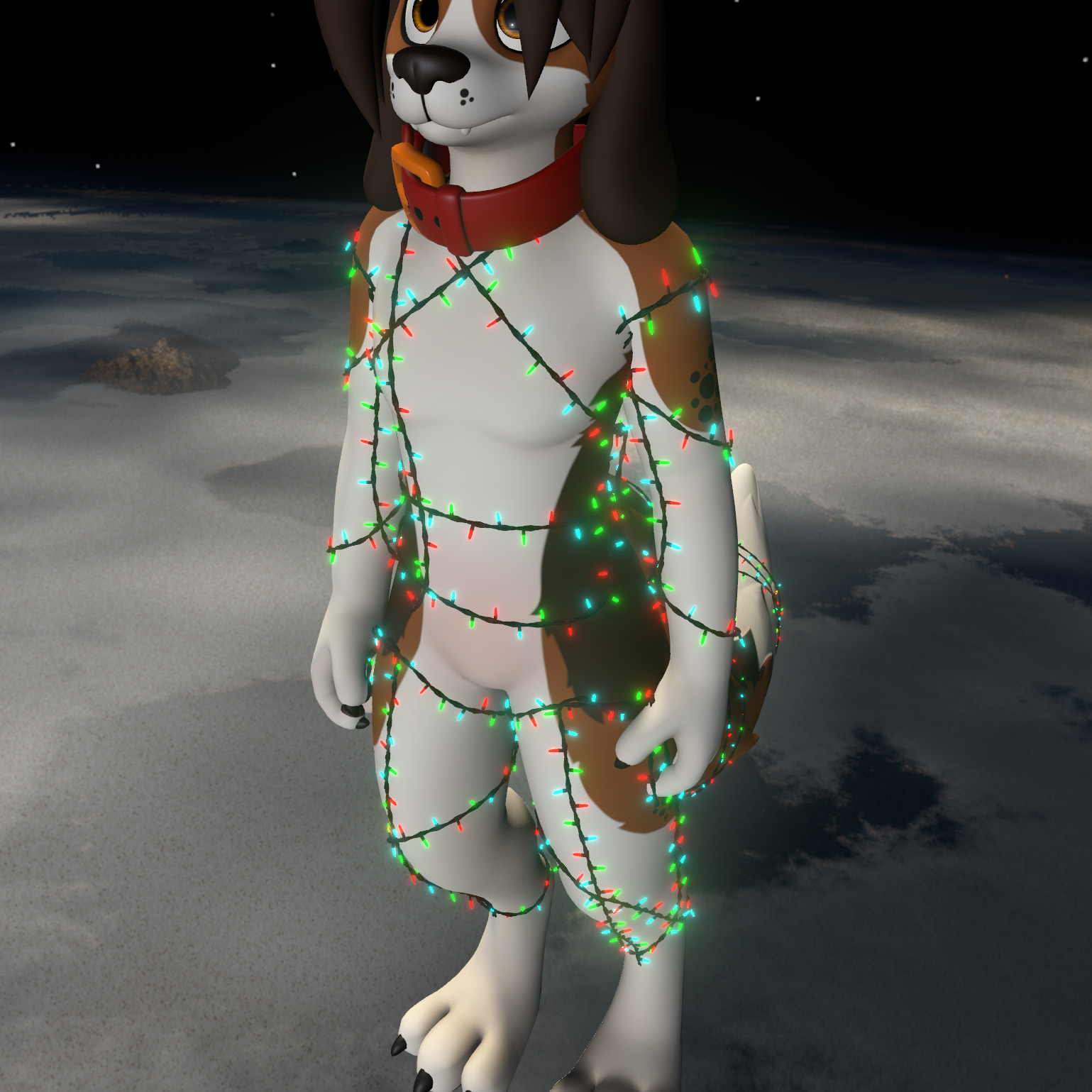 Christmas Lights - Pupper