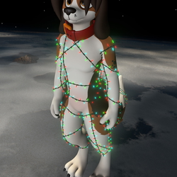 Christmas Lights - Pupper