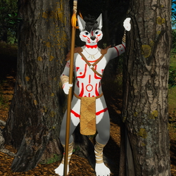 Tribal assets for Winterpaw